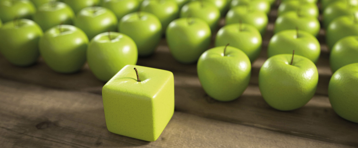 Anderer Leistungsanbieter nach § 60 - Eingangsverfahren/Berufsbildungsbereich